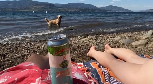 Kelowna eyeing 8 waterfront parks for alcohol consumption